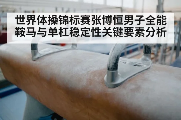 世界体操锦标赛张博恒男子全能鞍马与单杠稳定性关键要素分析